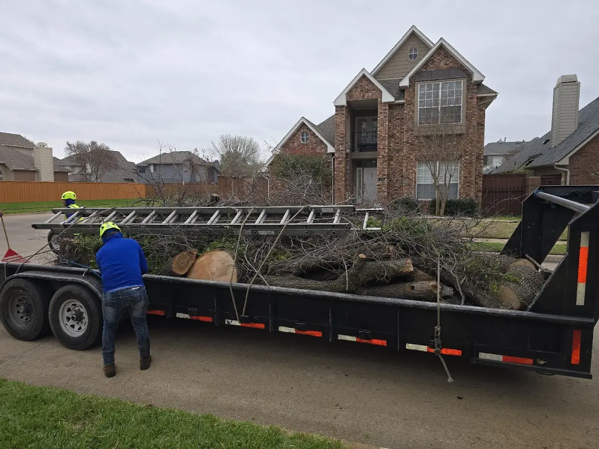 Expert Tree Fertilization with proper safety equipment in Warm Springs